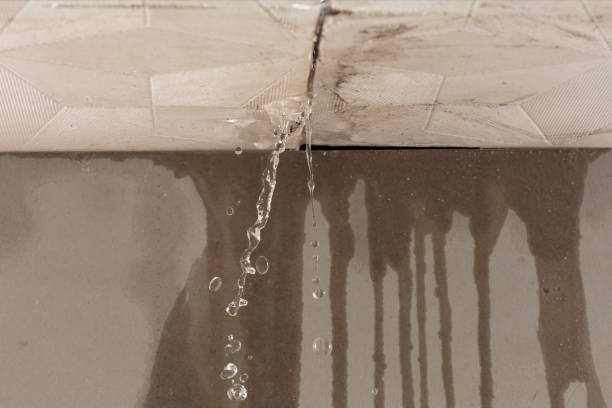 Professional Structural Drying technician working in Kenton, OH